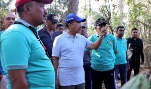 walikota di kali walikota di kali 1