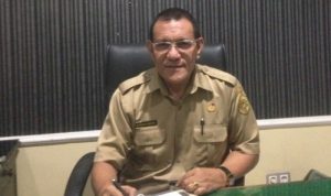ely wairata 1