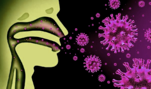 corona-2 virus corona