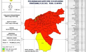 data covid kota 29 juli