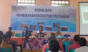bank NTT di matim