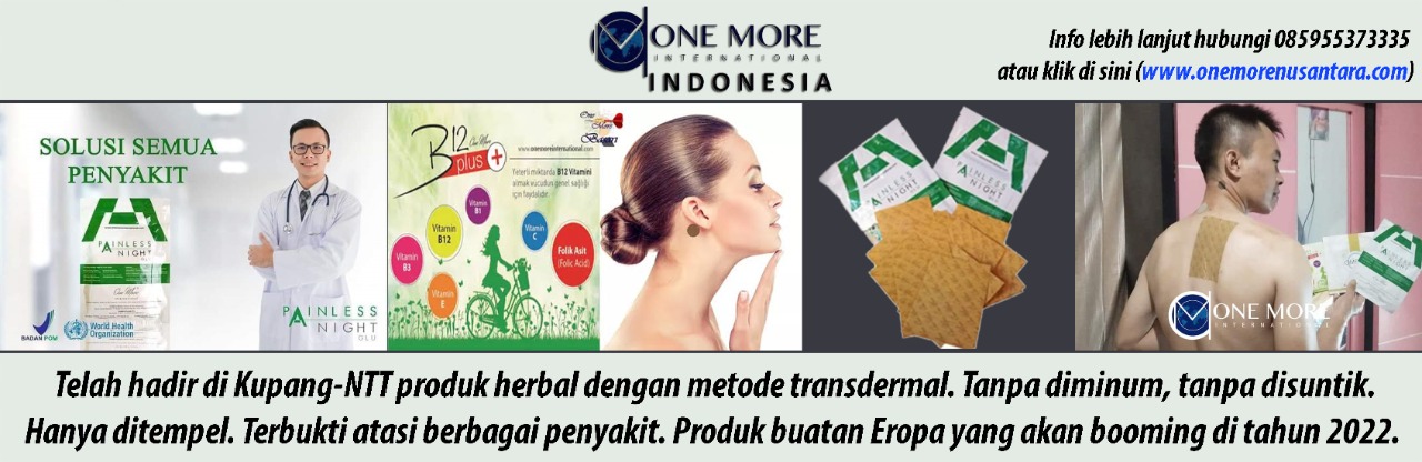onemorenusantara