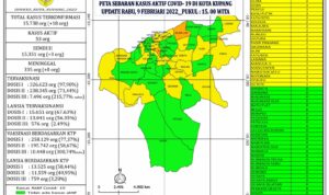 data covid kota kupang